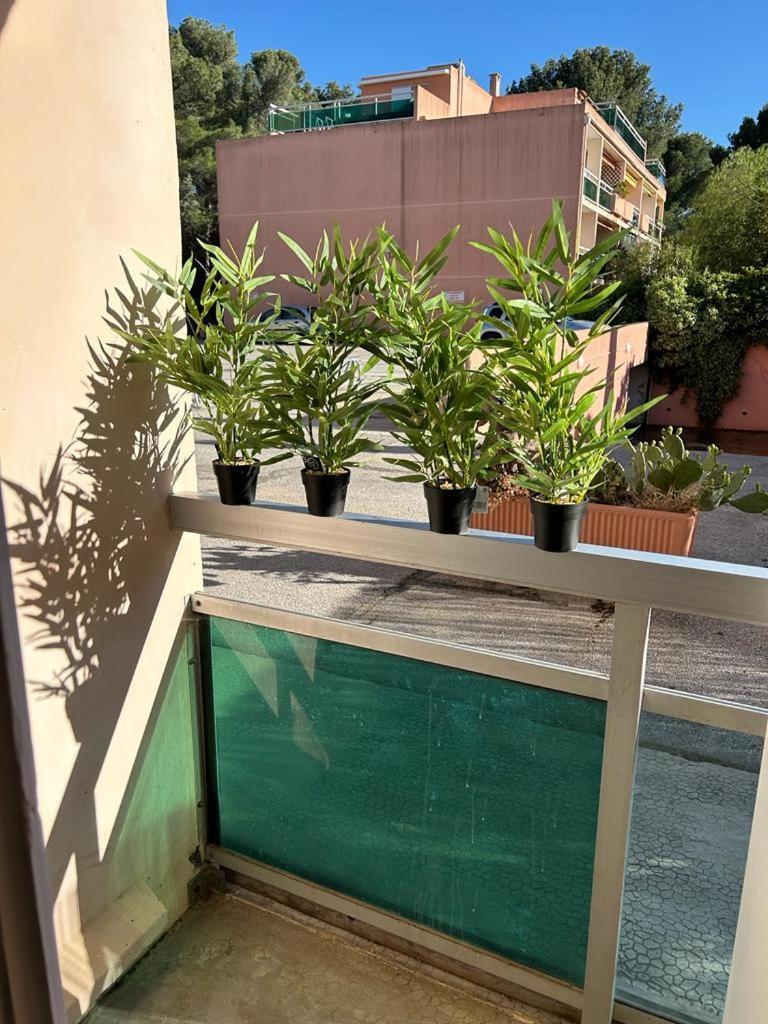 Studio Meuble Bord De Mer Bormes-les-Mimosas Extérieur photo